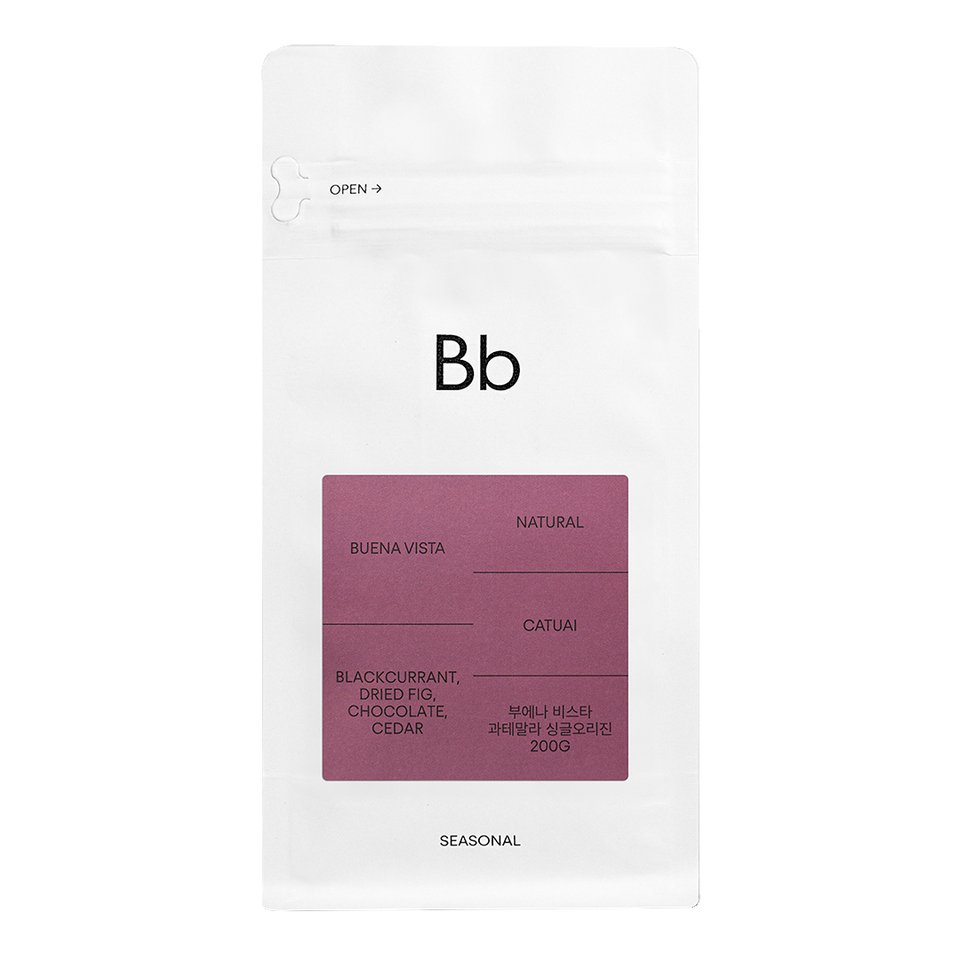 과테말라 부에나 비스타